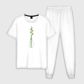 Мужская пижама хлопок с принтом Бамбук в Петрозаводске, 100% хлопок | брюки и футболка прямого кроя, без карманов, на брюках мягкая резинка на поясе и по низу штанин
 | бутылка | домашние растения | зеленый | панда | растения | суккуленты | цветы | чистый | экологический | экология