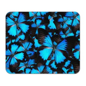 Коврик для мышки прямоугольный с принтом Рой бабочек в Петрозаводске, натуральный каучук | размер 230 х 185 мм; запечатка лицевой стороны | бабочки | рой | синий | черный