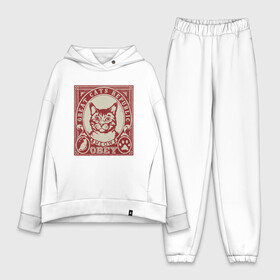 Женский костюм хлопок Oversize с принтом Cats Republic в Петрозаводске,  |  | animal | cat | cute | kitty | meow | obey | друг | животные | киска | китти | кот | котенок | котик | кошечка | кошка | лев | леопард | милый | мур | мяу | пантера | питомец | рысь | тигр | улыбка