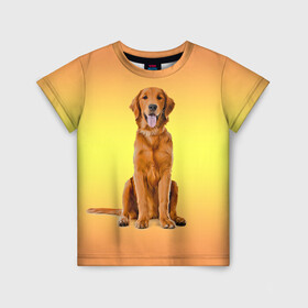 Детская футболка 3D с принтом Золотистый ретривер в Петрозаводске, 100% гипоаллергенный полиэфир | прямой крой, круглый вырез горловины, длина до линии бедер, чуть спущенное плечо, ткань немного тянется | домашние любимцы | животные | золотистый ретривер | собака