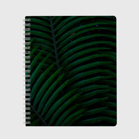 Тетрадь с принтом Пальмовые листья в Петрозаводске, 100% бумага | 48 листов, плотность листов — 60 г/м2, плотность картонной обложки — 250 г/м2. Листы скреплены сбоку удобной пружинной спиралью. Уголки страниц и обложки скругленные. Цвет линий — светло-серый
 | Тематика изображения на принте: пальмы | папоротник | тропики