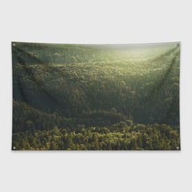 Флаг-баннер с принтом Летний лес в Петрозаводске, 100% полиэстер | размер 67 х 109 см, плотность ткани — 95 г/м2; по краям флага есть четыре люверса для крепления | дерево | деревья | зеленый | лес | лето | небо | облако | солнце | темный | ярко