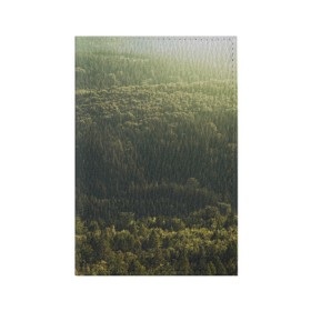 Обложка для паспорта матовая кожа с принтом Летний лес в Петрозаводске, натуральная матовая кожа | размер 19,3 х 13,7 см; прозрачные пластиковые крепления | дерево | деревья | зеленый | лес | лето | небо | облако | солнце | темный | ярко