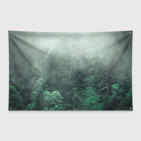 Флаг-баннер с принтом Туманный лес в Петрозаводске, 100% полиэстер | размер 67 х 109 см, плотность ткани — 95 г/м2; по краям флага есть четыре люверса для крепления | дерево | деревья | зеленый | лес | облака | облако | снег | темный