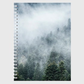 Тетрадь с принтом Туманный лес в Петрозаводске, 100% бумага | 48 листов, плотность листов — 60 г/м2, плотность картонной обложки — 250 г/м2. Листы скреплены сбоку удобной пружинной спиралью. Уголки страниц и обложки скругленные. Цвет линий — светло-серый
 | белый | зеленый | лес | облака | облако | природа | темный | туман