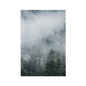 Обложка для паспорта матовая кожа с принтом Туманный лес в Петрозаводске, натуральная матовая кожа | размер 19,3 х 13,7 см; прозрачные пластиковые крепления | белый | зеленый | лес | облака | облако | природа | темный | туман