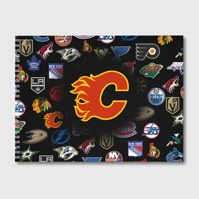 Альбом для рисования с принтом Calgary Flames (Z) в Петрозаводске, 100% бумага
 | матовая бумага, плотность 200 мг. | Тематика изображения на принте: anaheim ducks | arizona coyotes | boston bruins | buffalo sabres | calgary flames | canadiens de montreal | carolina hurricanes | chicago blackhawks | colorado avalanche | columbus blue jackets | dallas stars | detroit red wings | edmonton oil | hockey | 