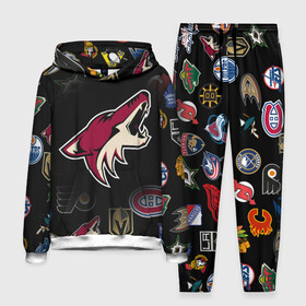 Мужской костюм 3D (с толстовкой) с принтом Arizona Coyotes | NHL (Z) в Петрозаводске,  |  | Тематика изображения на принте: anaheim ducks | arizona coyotes | boston bruins | buffalo sabres | calgary flames | canadiens de montreal | carolina hurricanes | chicago blackhawks | colorado avalanche | columbus blue jackets | dallas stars | detroit red wings | edmonton oil | hockey | 