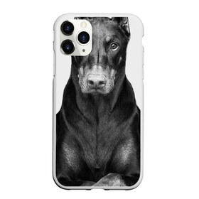 Чехол для iPhone 11 Pro матовый с принтом Любовь - это доберман в Петрозаводске, Силикон |  | доберман | дрессировка | забота | любовь | собака | собаки | собачка | собачник | увлечение | хобби