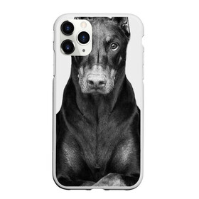 Чехол для iPhone 11 Pro Max матовый с принтом Любовь - это доберман в Петрозаводске, Силикон |  | Тематика изображения на принте: доберман | дрессировка | забота | любовь | собака | собаки | собачка | собачник | увлечение | хобби