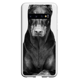 Чехол для Samsung Galaxy S10 с принтом Любовь - это доберман в Петрозаводске, Силикон | Область печати: задняя сторона чехла, без боковых панелей | доберман | дрессировка | забота | любовь | собака | собаки | собачка | собачник | увлечение | хобби