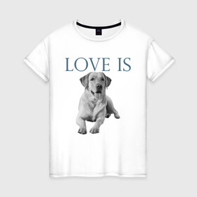 Женская футболка хлопок с принтом Любовь - это лабрадор в Петрозаводске, 100% хлопок | прямой крой, круглый вырез горловины, длина до линии бедер, слегка спущенное плечо | дрессировка | забота | лабр | лабрадор | лабрадор ретривер | любовь | собака | собаки | собачка | собачник | увлечение | хобби