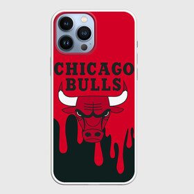 Чехол для iPhone 13 Pro Max с принтом Chicago Bulls. в Петрозаводске,  |  | 23 | air jordan | bulls | chicago bulls | jordan | michael jordan | nba | paris saint germain | psg | red | sport | быки | джордан | майкл джордан | псж | спорт | чикаго буллс