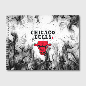 Альбом для рисования с принтом CHICAGO BULLS в Петрозаводске, 100% бумага
 | матовая бумага, плотность 200 мг. | bulls | chicago | chicago bulls | nba | red bulls | usa | америка | быки | нба | сша | чикаго буллс