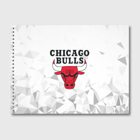 Альбом для рисования с принтом CHICAGO BULLS в Петрозаводске, 100% бумага
 | матовая бумага, плотность 200 мг. | bulls | chicago | chicago bulls | nba | red bulls | usa | америка | быки | нба | сша | чикаго буллс