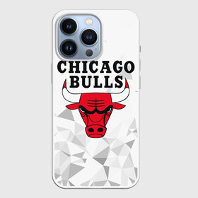 Чехол для iPhone 13 Pro с принтом CHICAGO BULLS в Петрозаводске,  |  | bulls | chicago | chicago bulls | nba | red bulls | usa | америка | быки | нба | сша | чикаго буллс