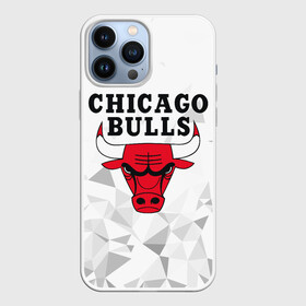 Чехол для iPhone 13 Pro Max с принтом CHICAGO BULLS в Петрозаводске,  |  | Тематика изображения на принте: bulls | chicago | chicago bulls | nba | red bulls | usa | америка | быки | нба | сша | чикаго буллс