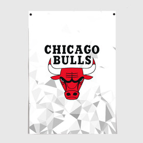 Постер с принтом CHICAGO BULLS в Петрозаводске, 100% бумага
 | бумага, плотность 150 мг. Матовая, но за счет высокого коэффициента гладкости имеет небольшой блеск и дает на свету блики, но в отличии от глянцевой бумаги не покрыта лаком | bulls | chicago | chicago bulls | nba | red bulls | usa | америка | быки | нба | сша | чикаго буллс