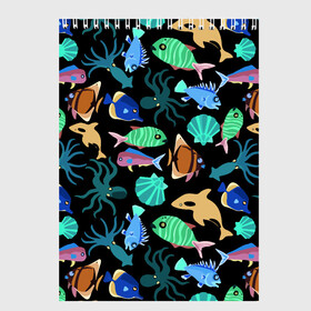 Скетчбук с принтом Summer в Петрозаводске, 100% бумага
 | 48 листов, плотность листов — 100 г/м2, плотность картонной обложки — 250 г/м2. Листы скреплены сверху удобной пружинной спиралью | color | design | fashion | fish | paint | shell | squid | summer | vanguard | авангард | дизайн | кальмар | краска | лето | мода | ракушка | рыба | цвет