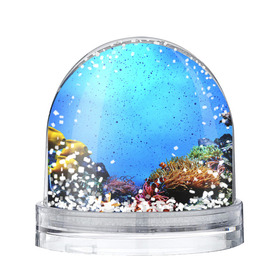 Снежный шар с принтом Подводный мир в Петрозаводске, Пластик | Изображение внутри шара печатается на глянцевой фотобумаге с двух сторон | аква | аквариум | актинии | вода | море | морские | морские звезды | морской | океан | под водой | подводный мир | пузырьки | рыба | рыба клоун | рыбы