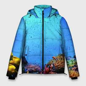 Мужская зимняя куртка 3D с принтом Подводный мир в Петрозаводске, верх — 100% полиэстер; подкладка — 100% полиэстер; утеплитель — 100% полиэстер | длина ниже бедра, свободный силуэт Оверсайз. Есть воротник-стойка, отстегивающийся капюшон и ветрозащитная планка. 

Боковые карманы с листочкой на кнопках и внутренний карман на молнии. | аква | аквариум | актинии | вода | море | морские | морские звезды | морской | океан | под водой | подводный мир | пузырьки | рыба | рыба клоун | рыбы