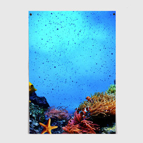Постер с принтом Подводный мир в Петрозаводске, 100% бумага
 | бумага, плотность 150 мг. Матовая, но за счет высокого коэффициента гладкости имеет небольшой блеск и дает на свету блики, но в отличии от глянцевой бумаги не покрыта лаком | Тематика изображения на принте: аква | аквариум | актинии | вода | море | морские | морские звезды | морской | океан | под водой | подводный мир | пузырьки | рыба | рыба клоун | рыбы