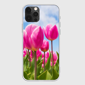 Чехол для iPhone 12 Pro Max с принтом Розовые тюльпаны в Петрозаводске, Силикон |  | flowers | бутоны | дача | девушке | женщинам | лепестки | летний | лето | листья | любимая | любовь | небесный | небо | нежный | облака | поляна | природа | растения | романтика | сад | синеенебо | солнечный