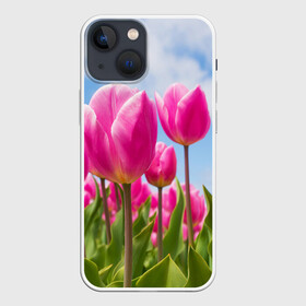 Чехол для iPhone 13 mini с принтом Розовые тюльпаны в Петрозаводске,  |  | flowers | бутоны | дача | девушке | женщинам | лепестки | летний | лето | листья | любимая | любовь | небесный | небо | нежный | облака | поляна | природа | растения | романтика | сад | синеенебо | солнечный