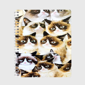 Тетрадь с принтом КОТ МЕМ в Петрозаводске, 100% бумага | 48 листов, плотность листов — 60 г/м2, плотность картонной обложки — 250 г/м2. Листы скреплены сбоку удобной пружинной спиралью. Уголки страниц и обложки скругленные. Цвет линий — светло-серый
 | cat | взгляд | кот | кот хипстер | котёнок | котятки | котятушки | кошечки | кошка | мордочка
