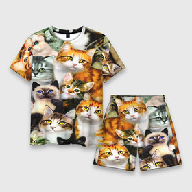 Мужской костюм с шортами 3D с принтом КОТЫ в Петрозаводске,  |  | Тематика изображения на принте: cat | взгляд | кот | кот хипстер | котёнок | котятки | котятушки | кошечки | кошка | мордочка