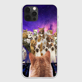 Чехол для iPhone 12 Pro Max с принтом КОТ DJ в Петрозаводске, Силикон |  | cat | взгляд | кот | кот хипстер | котёнок | котятки | котятушки | кошечки | кошка | мордочка
