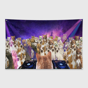 Флаг-баннер с принтом КОТ DJ в Петрозаводске, 100% полиэстер | размер 67 х 109 см, плотность ткани — 95 г/м2; по краям флага есть четыре люверса для крепления | cat | взгляд | кот | кот хипстер | котёнок | котятки | котятушки | кошечки | кошка | мордочка