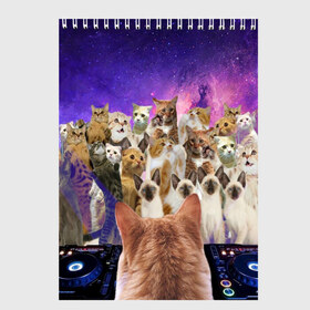 Скетчбук с принтом КОТ DJ в Петрозаводске, 100% бумага
 | 48 листов, плотность листов — 100 г/м2, плотность картонной обложки — 250 г/м2. Листы скреплены сверху удобной пружинной спиралью | cat | взгляд | кот | кот хипстер | котёнок | котятки | котятушки | кошечки | кошка | мордочка