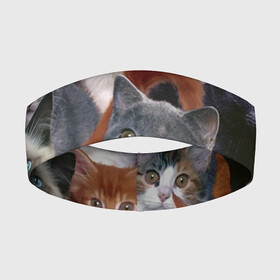 Повязка на голову 3D с принтом КОТЯТКИ в Петрозаводске,  |  | Тематика изображения на принте: cat | взгляд | кот | кот хипстер | котёнок | котятки | котятушки | кошечки | кошка | мордочка