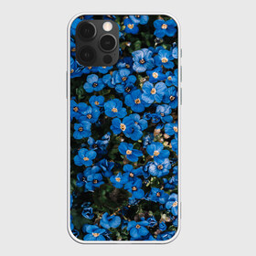 Чехол для iPhone 12 Pro Max с принтом Поле синих цветов фиалки лето в Петрозаводске, Силикон |  | голубые цветочки | лето | луг | незабудки | поле | поляна | синие цветы | узор из цветов | фиалки | фото реализм | цветы