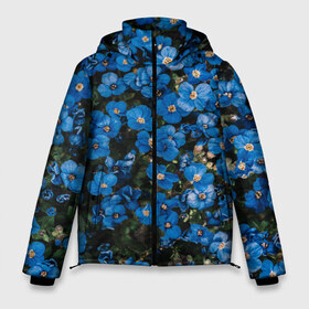 Мужская зимняя куртка 3D с принтом Поле синих цветов фиалки лето в Петрозаводске, верх — 100% полиэстер; подкладка — 100% полиэстер; утеплитель — 100% полиэстер | длина ниже бедра, свободный силуэт Оверсайз. Есть воротник-стойка, отстегивающийся капюшон и ветрозащитная планка. 

Боковые карманы с листочкой на кнопках и внутренний карман на молнии. | голубые цветочки | лето | луг | незабудки | поле | поляна | синие цветы | узор из цветов | фиалки | фото реализм | цветы