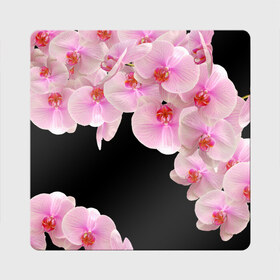 Магнит виниловый Квадрат с принтом Орхидеи в ночи в Петрозаводске, полимерный материал с магнитным слоем | размер 9*9 см, закругленные углы | азия | бабочки | бутоны | ветки | девушкам | джунгли | женщинам | лепестки | летний | лето | листья | любовь | март | орхидеи | орхидея | подарок | природа | растения | розовыецветы | сад | тропика