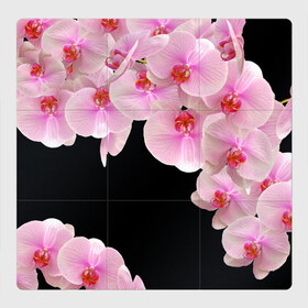 Магнитный плакат 3Х3 с принтом Орхидеи в ночи в Петрозаводске, Полимерный материал с магнитным слоем | 9 деталей размером 9*9 см | азия | бабочки | бутоны | ветки | девушкам | джунгли | женщинам | лепестки | летний | лето | листья | любовь | март | орхидеи | орхидея | подарок | природа | растения | розовыецветы | сад | тропика