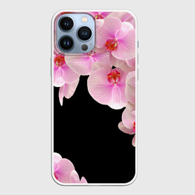 Чехол для iPhone 13 Pro Max с принтом Орхидеи в ночи в Петрозаводске,  |  | азия | бабочки | бутоны | ветки | девушкам | джунгли | женщинам | лепестки | летний | лето | листья | любовь | март | орхидеи | орхидея | подарок | природа | растения | розовыецветы | сад | тропика
