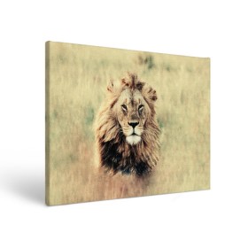 Холст прямоугольный с принтом Lion King в Петрозаводске, 100% ПВХ |  | animals | king | lion | африка | взгляд | голова | грива | дикие | животные | зверек | зверь | зодиак | клыки | король | кот | кошак | кошка | лапы | лев | лео | львенок | оскал | природа | саванна | симба | созвездие