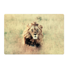 Магнитный плакат 3Х2 с принтом Lion King в Петрозаводске, Полимерный материал с магнитным слоем | 6 деталей размером 9*9 см | Тематика изображения на принте: animals | king | lion | африка | взгляд | голова | грива | дикие | животные | зверек | зверь | зодиак | клыки | король | кот | кошак | кошка | лапы | лев | лео | львенок | оскал | природа | саванна | симба | созвездие