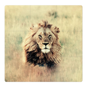 Магнитный плакат 3Х3 с принтом Lion King в Петрозаводске, Полимерный материал с магнитным слоем | 9 деталей размером 9*9 см | animals | king | lion | африка | взгляд | голова | грива | дикие | животные | зверек | зверь | зодиак | клыки | король | кот | кошак | кошка | лапы | лев | лео | львенок | оскал | природа | саванна | симба | созвездие