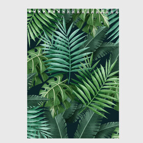 Скетчбук с принтом Тропики в Петрозаводске, 100% бумага
 | 48 листов, плотность листов — 100 г/м2, плотность картонной обложки — 250 г/м2. Листы скреплены сверху удобной пружинной спиралью | summer | банановая | банановые | джунгли | зелень | краски | летняя | лето | листики | листы | листья | надпись | настроение | отдых | отпуск | пальма | пальмовые | пальмы | папоротник | пляжная | позитив