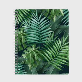 Тетрадь с принтом Тропики в Петрозаводске, 100% бумага | 48 листов, плотность листов — 60 г/м2, плотность картонной обложки — 250 г/м2. Листы скреплены сбоку удобной пружинной спиралью. Уголки страниц и обложки скругленные. Цвет линий — светло-серый
 | Тематика изображения на принте: summer | банановая | банановые | джунгли | зелень | краски | летняя | лето | листики | листы | листья | надпись | настроение | отдых | отпуск | пальма | пальмовые | пальмы | папоротник | пляжная | позитив
