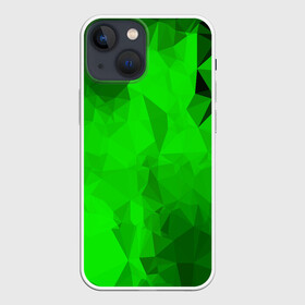 Чехол для iPhone 13 mini с принтом GREEN в Петрозаводске,  |  | abstract | abstraction | color | fractal | geometry | paitnt | polygon | polygonal | psy | абстракция | геометрия | краски | неоновые | полигоны | психоделика | фрактал
