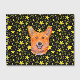 Альбом для рисования с принтом Corgi Stars в Петрозаводске, 100% бумага
 | матовая бумага, плотность 200 мг. | Тематика изображения на принте: corgi | dog | dogs | instagram | korgi | star | stars | telegram | tik tok | vk | звездочка | звездочки | звезды | корги | лапки | лапы | милая | пёс | песик | псы | сабака | сабачка | собака | собачка | собачки
