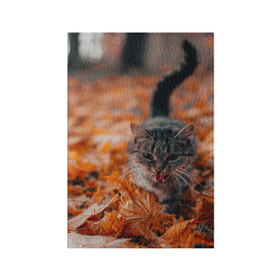 Обложка для паспорта матовая кожа с принтом мяукающий кот осенние листья в Петрозаводске, натуральная матовая кожа | размер 19,3 х 13,7 см; прозрачные пластиковые крепления | Тематика изображения на принте: золотая осень | кот | кошка | крик | листва | листья | мяу | мяукает | осень | сезон | уличный котейка
