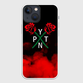 Чехол для iPhone 13 mini с принтом PYTN X ROSE. в Петрозаводске,  |  | payton | payton moormeie | pytn | rose | блогер | знаменитость | пейтон | пейтон моормиер | тиктоенр