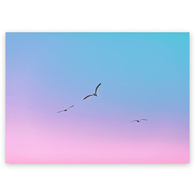 Поздравительная открытка с принтом чайки птицы полет градиент в Петрозаводске, 100% бумага | плотность бумаги 280 г/м2, матовая, на обратной стороне линовка и место для марки
 | градиент | закат | минимализм | небо | полет | природа | просто | птицы | рассвет | чайки