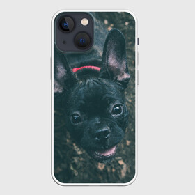 Чехол для iPhone 13 mini с принтом Бульдог морда собакена черного в Петрозаводске,  |  | бульдог | гав | глаза | любимец | любителю животных | ошейник | пес | песель | песик | питомец | псина | псинка | собака | собакен | собачка | собачник | уши | черный | язык